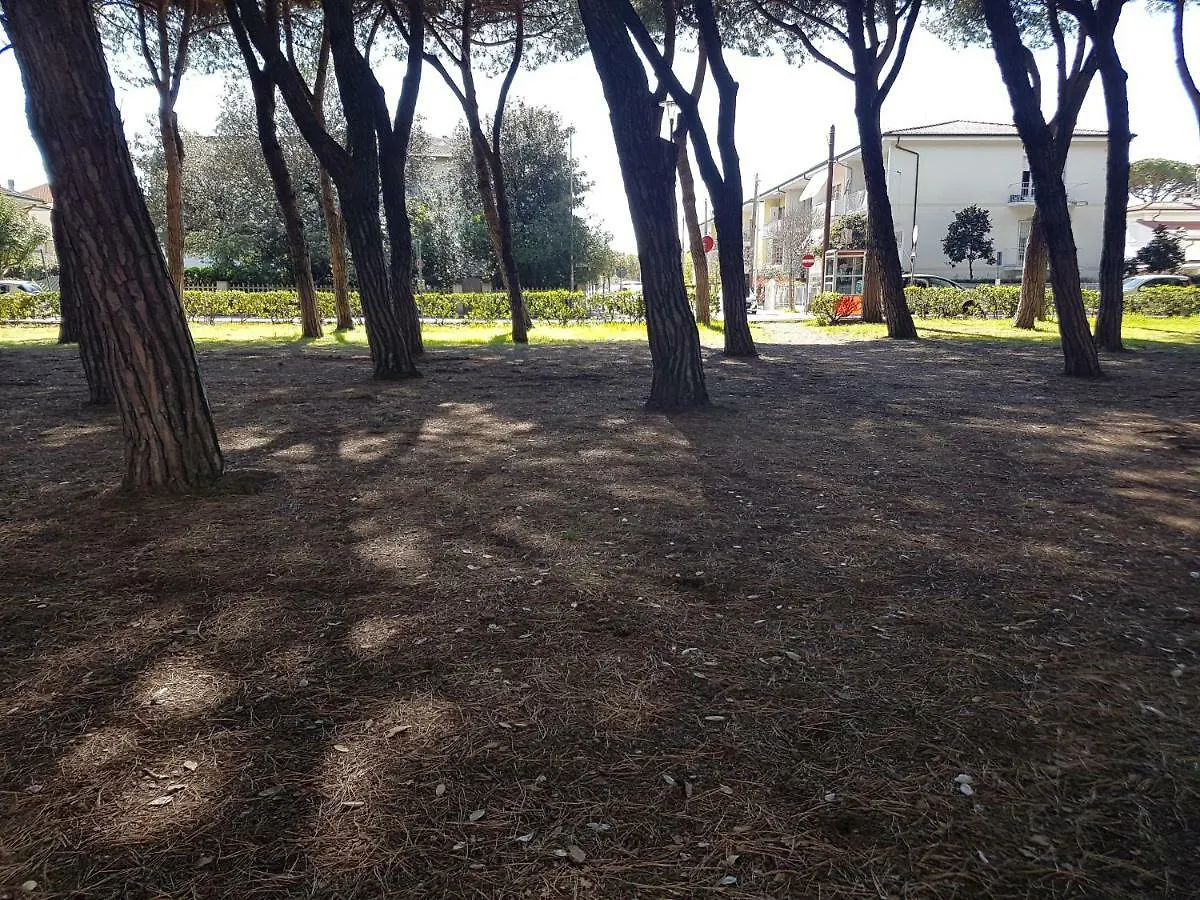 Il Don Minzoni 98 